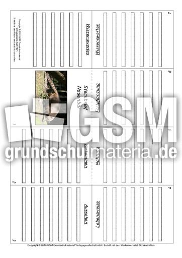 Faltbuch-Nasenbär.pdf